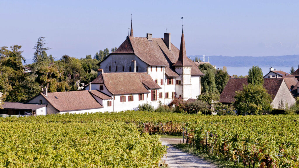 Château d Auvernier Gebäude mit Rebbergen im Neuenburgerland, Blick auf Weingut und Landschaft