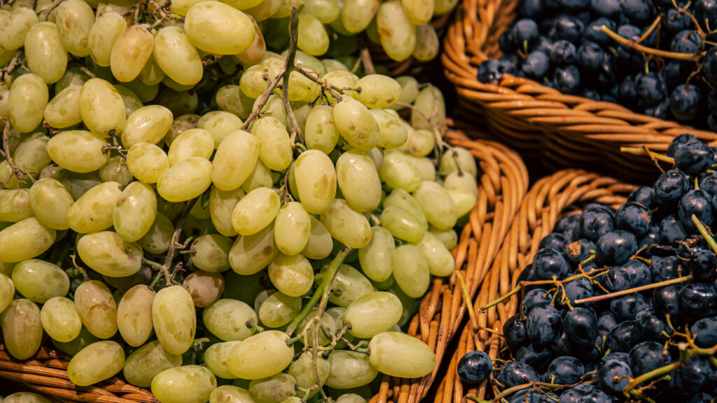 Mehrere Weintrauben auf Tisch aus dem Weingut Domaine Hutins