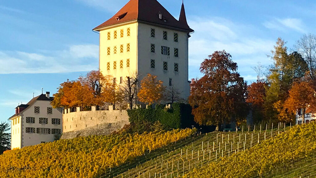 Weingut Heidegg im Hintergrund das Schloss Heidegg