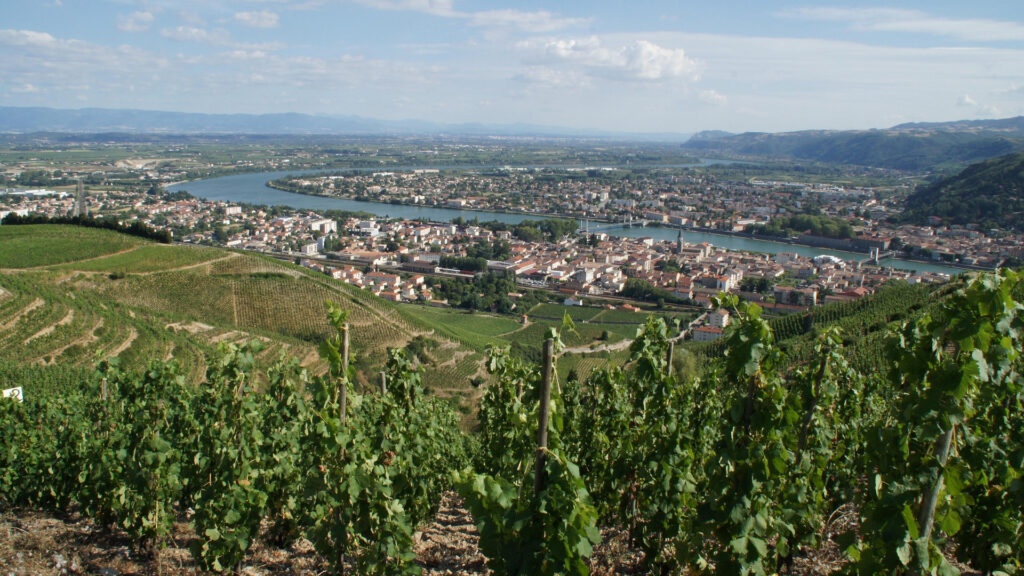 Weinberge der Appellation Crozes Hermitage in der Weinregion Rhônetal Frankreich