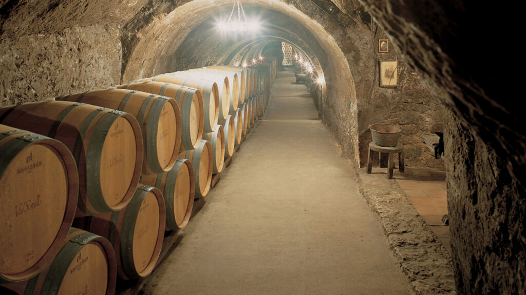 Bodega Ismael Arroyo - Weinkeller mit Barriquefässer