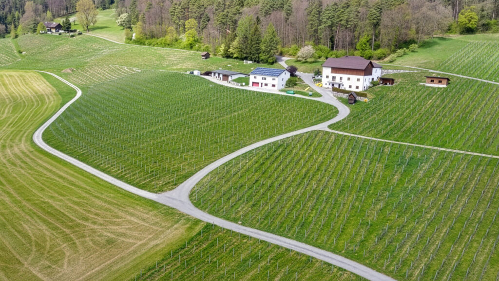 Luftaufnahme eines Weinbergs mit mehreren Gebäuden und geschwungenen Wegen in hügeliger Landschaft.