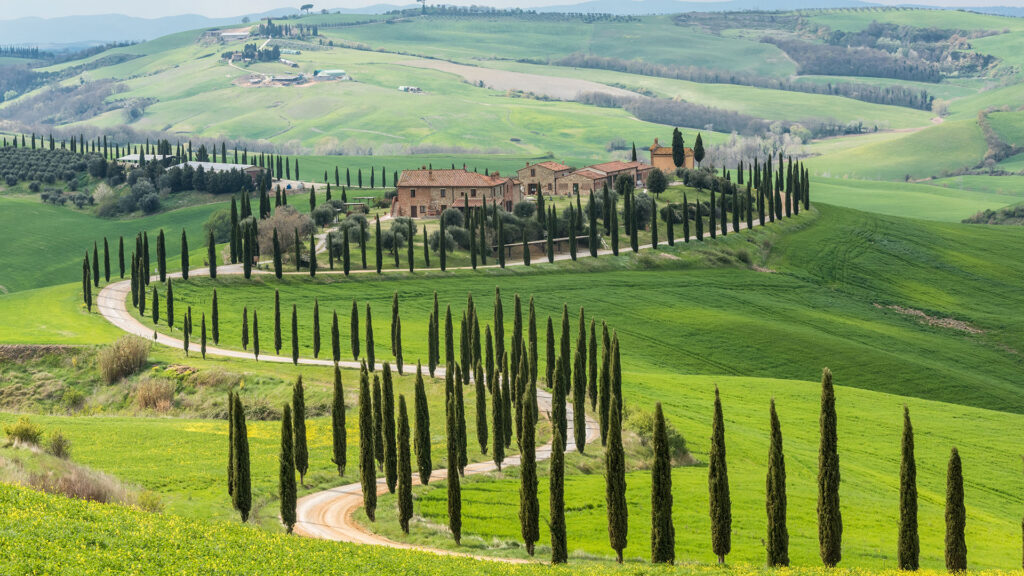 Landschaft mit sanften Hügeln und einer von Zypressen gesäumten geschwungenen Straße, die zu einem Bauernhof führt.