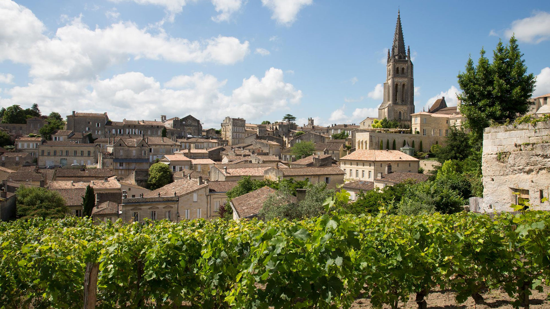 Blick auf eine Weinregion mit grünen Weinreben im Vordergrund und historischen Gebäuden mit Kirchturm im Hintergrund unter blauem Himmel mit Wolken.