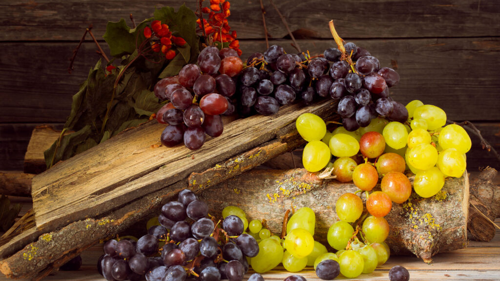 Mehrere Trauben in verschiedenen Farben (rot, dunkelviolett, grün) liegen auf Holzscheiten, im Hintergrund rote Beeren und grüne Blätter.