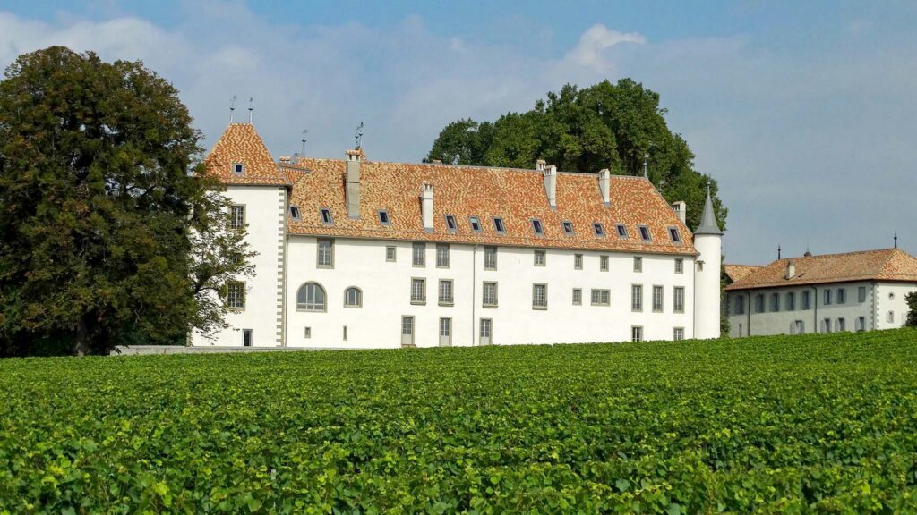Malerei des Weinguts in klarer Szenerie mit weissem Gebäude und Rotdach, umgeben von Weinreben.