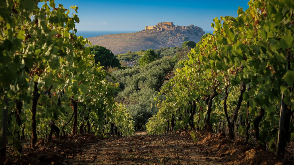 Sizilien-Terroir im Weinberg – Bodenstruktur für Cusumano-Weine