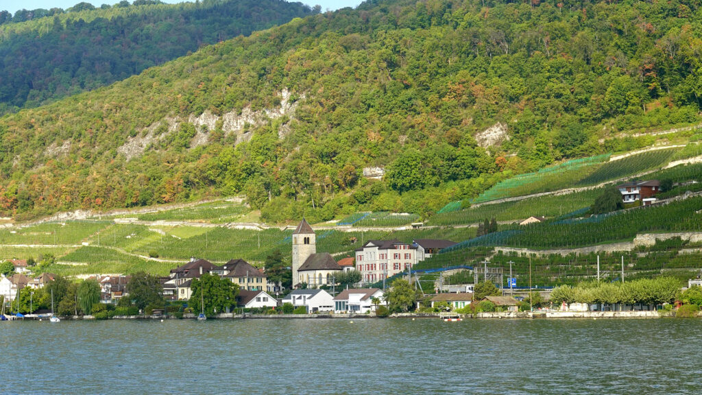 Eine weitläufige Landschaftsaufnahme eines malerischen Schweizer Dorfes am Ufer eines Sees, mit einer Kirche und Wohnhäusern, die von terrassierten Weinbergen und einem bewaldeten Hügel umgeben sind.