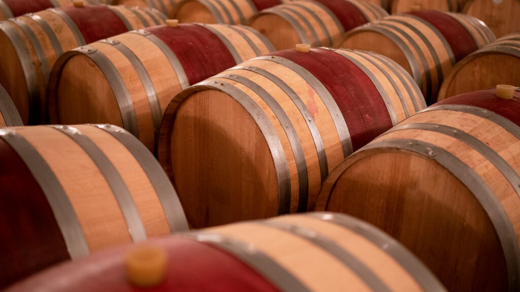 Reihen von Eichenholzfässern mit Metallreifen in einem Weinkeller
