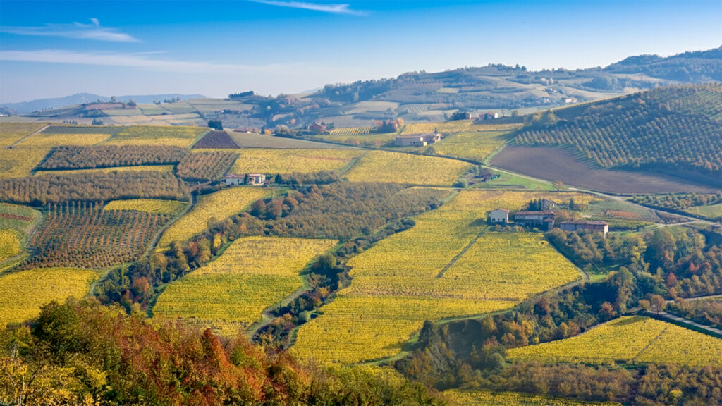 Luftaufnahme Weinregion Italien hügeligen Weinlandschaft mit Weinbergen und vereinzelten Gebäuden