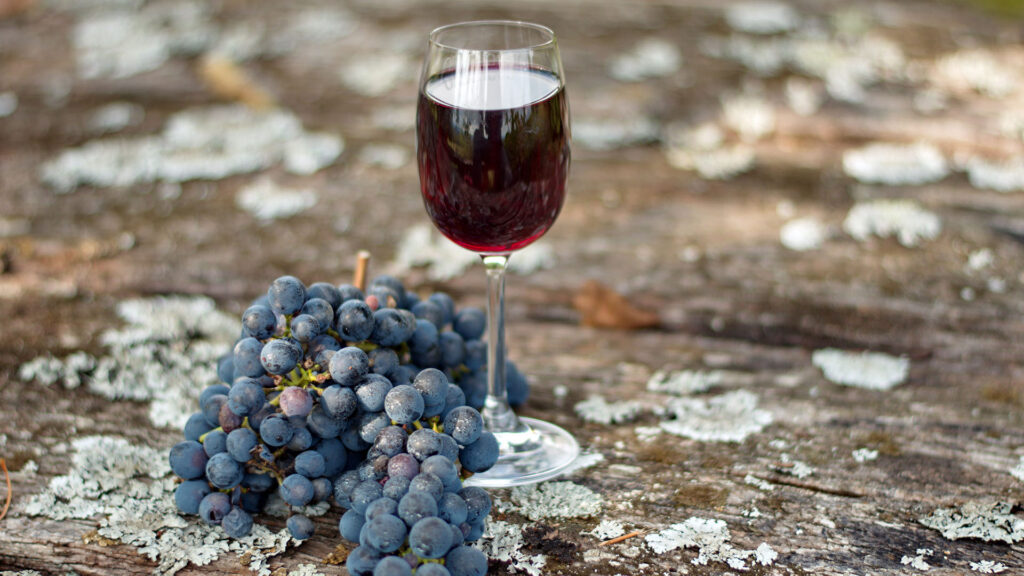 ancellotta-rebsorte-italien-emilia-romagna-herkunft-ritschard-weine-rotwein