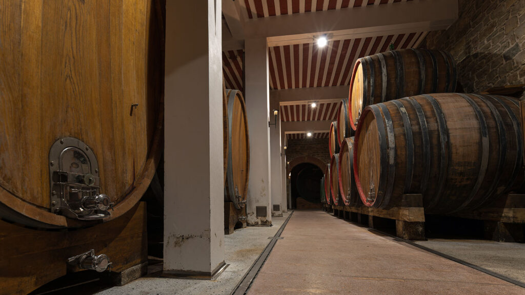 barbera-d-asti-rebsorte-weinkeller-piemont-ritschard-weine-rotwein