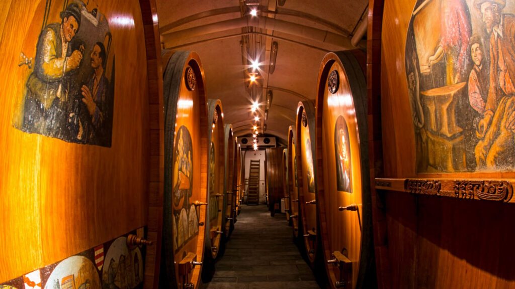 bernard_bovy__weinkeller_chasselas-weisswein-blog-ritschard-weine