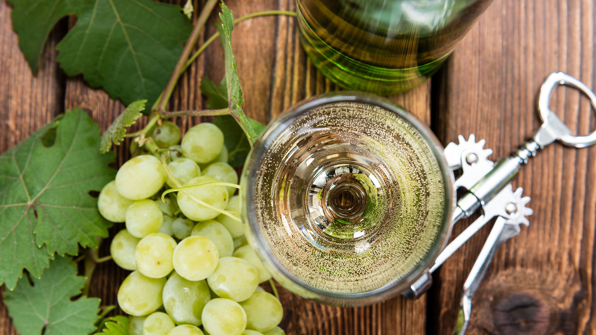 château de vincy, chasselas, weisswein, ritschard weine, anbau gebiet la côte, schweiz