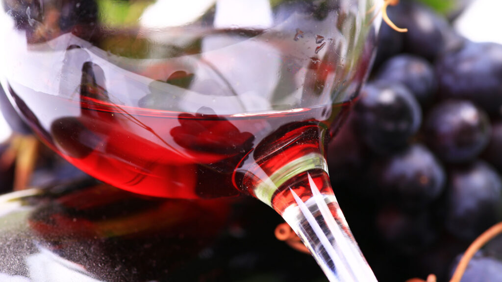 Merlot - Everybody's darling unter den Rotweinen und international weit verbreitet.