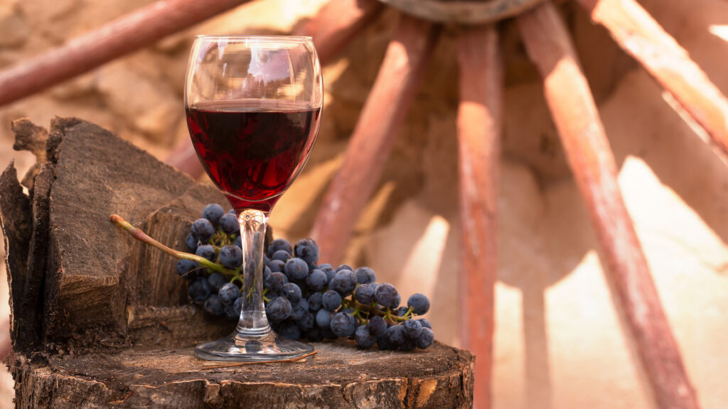 primitivo-apulien-italien-ritschard-weine-magazin-zinfandel-vergleich