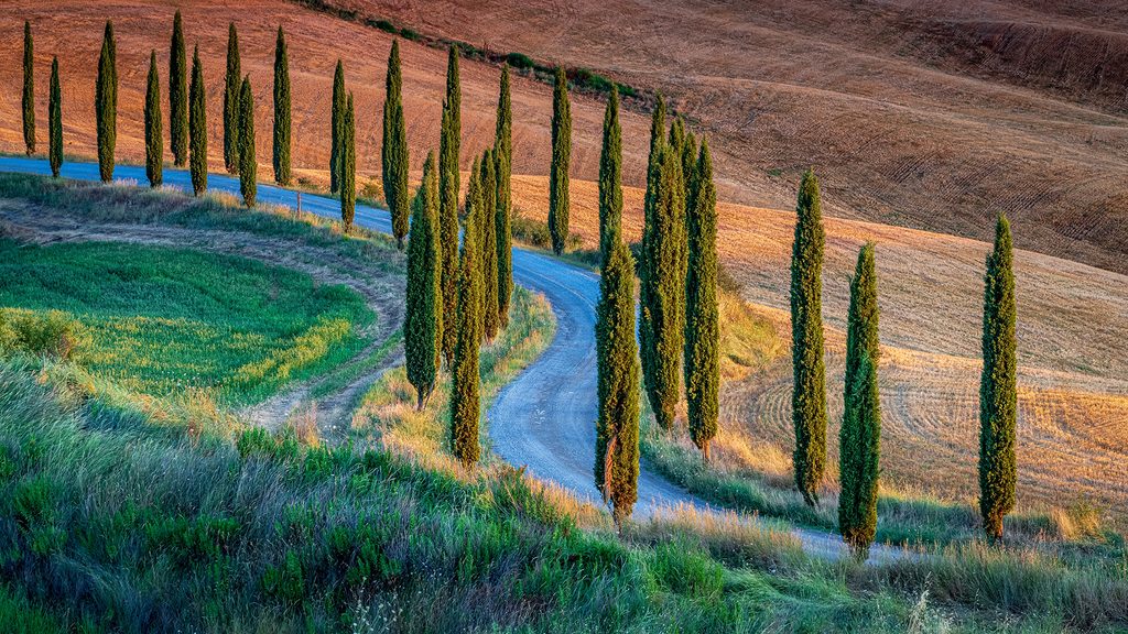 Chianti-Weinbauregion-Toskana-Rotwein