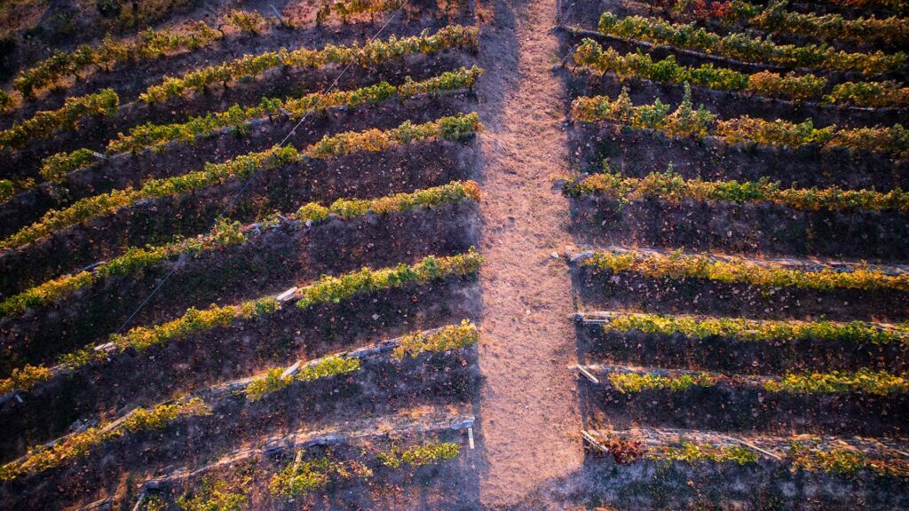 barolo_terroir_bodenbeschaffenheit_ritschard-weine-blog