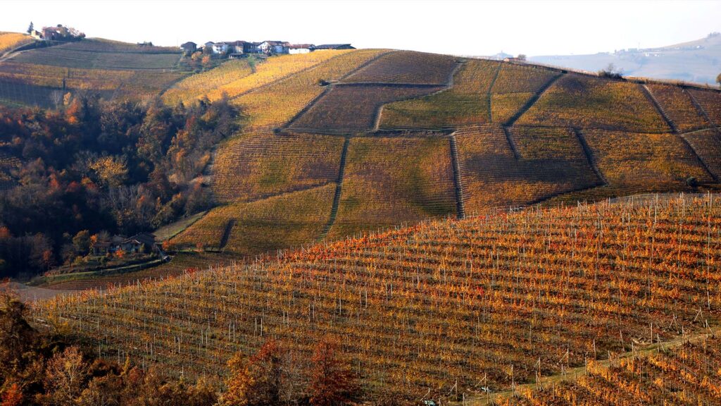 barolo_weinberge-ritschard-weine-blog