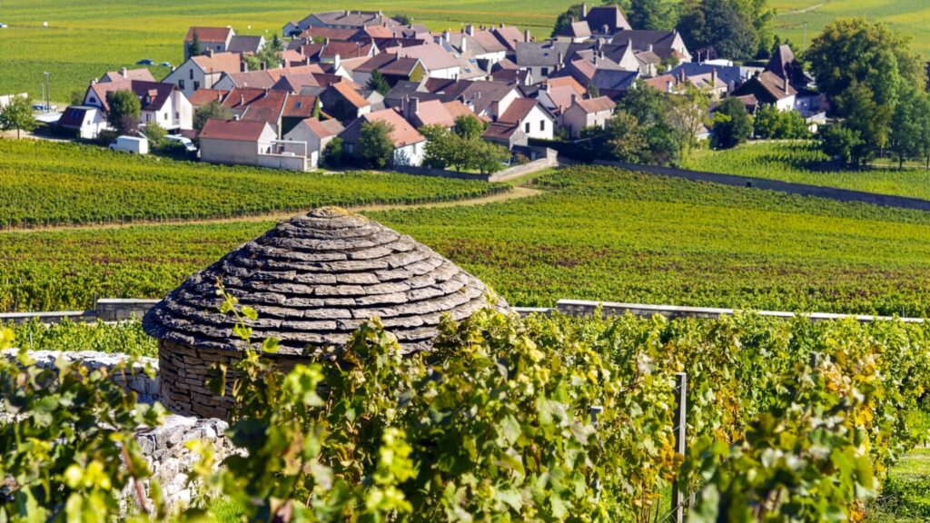 cabotte-village-morey-saint-denis-ritschard-weine-maison-jaffelin-blog-expertenwissen