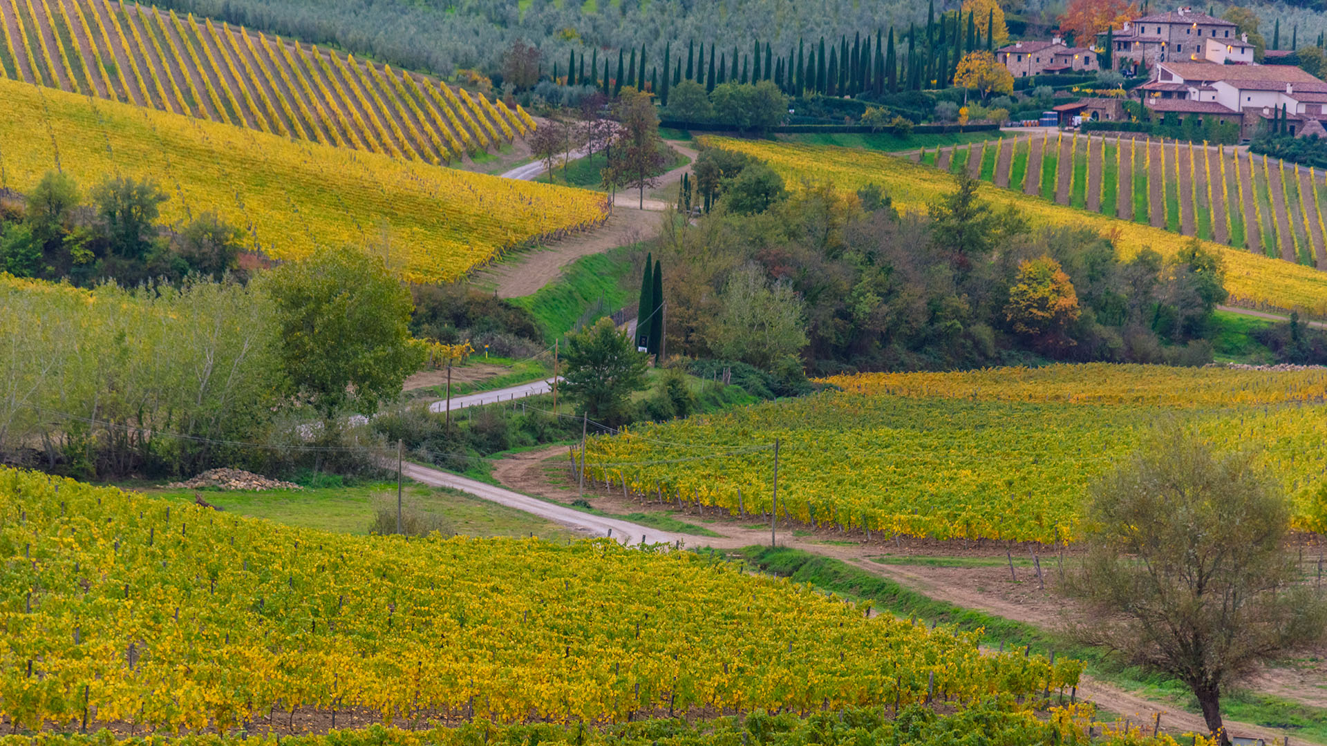 chianti-weinregion-ritschard-weine-blog-weinwissen-toskana-expertenwissen-italien