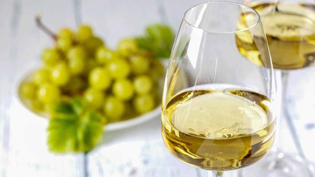 solaris-wein-ritschard-weine-blog-wein-expertenwissen-neuzuechtung-piwi-weinglas