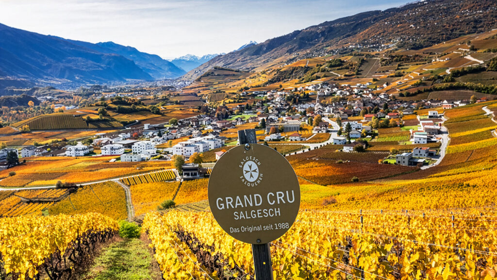 Wappen von Salgesch vor herbtlich gefärbten Weinbergen oberhalb von Salgesch im Wallis