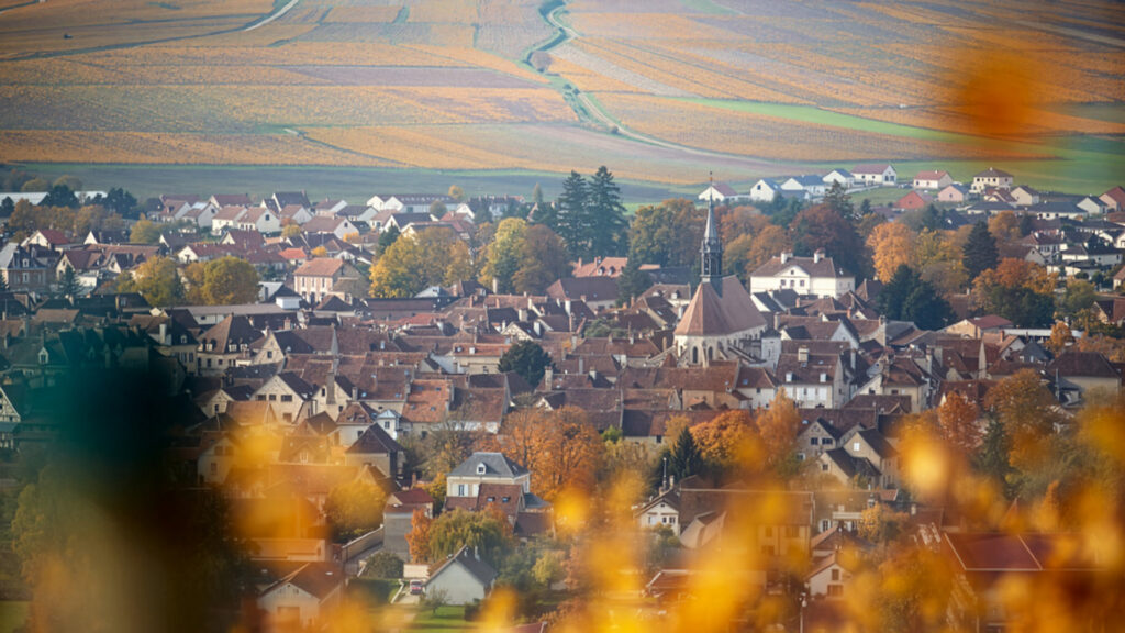 Weingut-J-Moreau-et-Fils-Burgund-Chablis