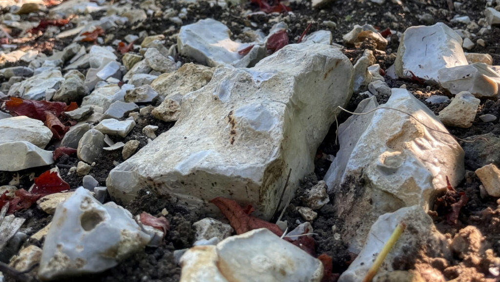 domaine-de-la-villaudiere-sancerre_terroir