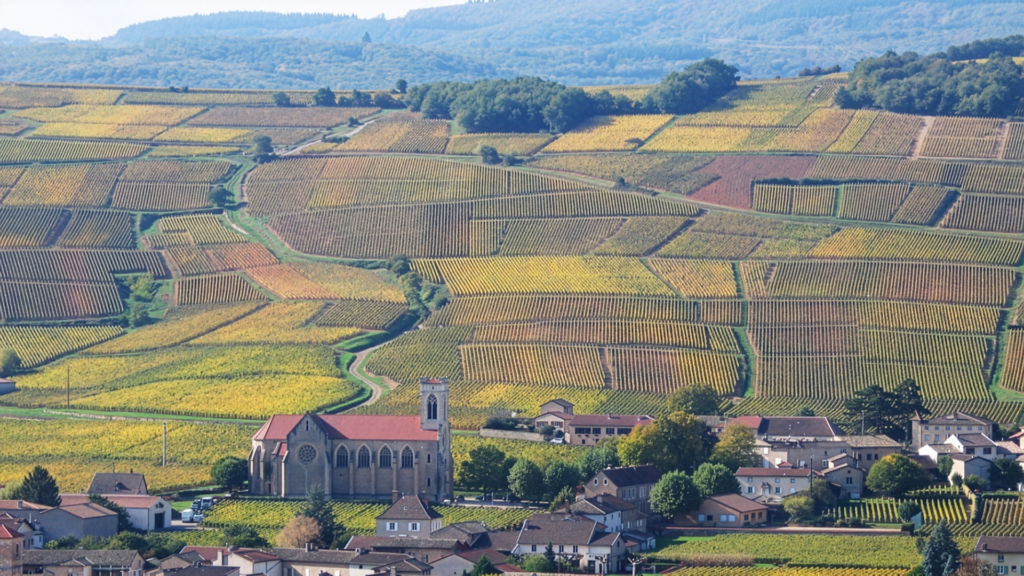 domaine-luquet-bourgogne-chablis-blick-dorf-kirche-rebberge