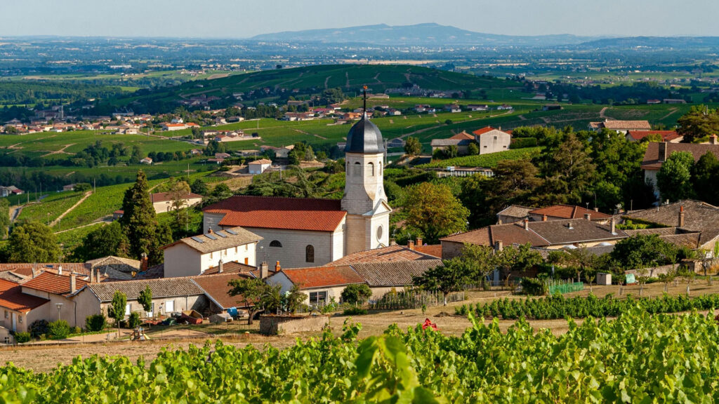domaine-montangeron-beaujolais-fleurie-chiroubles