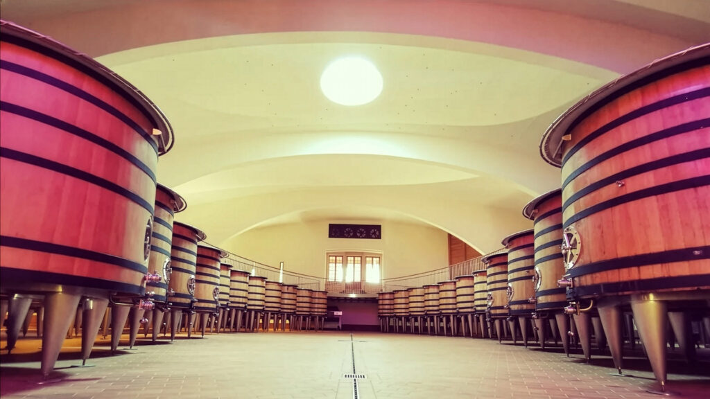 jean-claude-boisset-burgund-weinkeller-barrique
