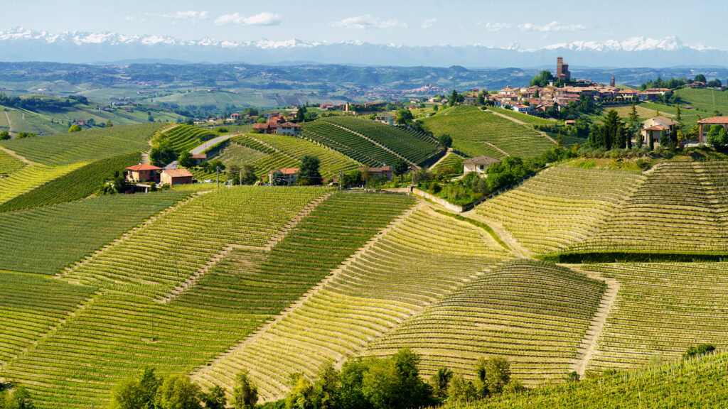 vignobles-italie-piemont-alba-ritschard-vin-blog-magainz-shop