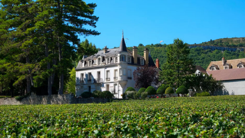 Domaine-Chapelle-Fils-Santenay-Ritschard-Weine-Shop-Magazin-Blog-Rotwein-Burgund