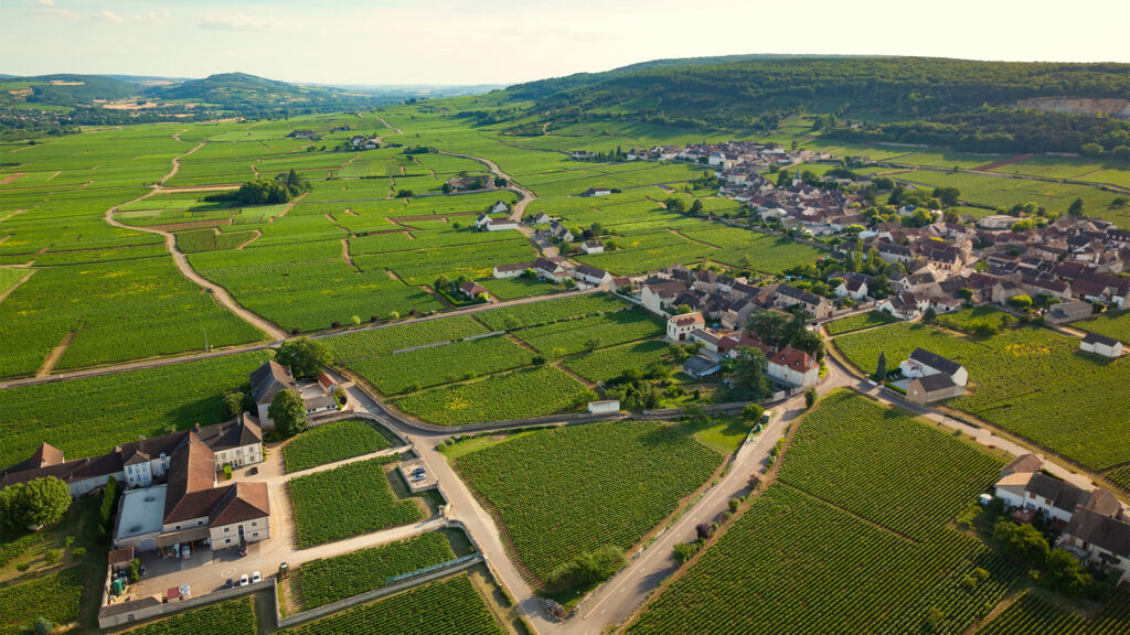 Domaine-Chapelle-Fils-Santenay-Ritschard-Weine-Shop-Magazin-Blog-Rotwein-Weisswein-Landschaft-Burgund
