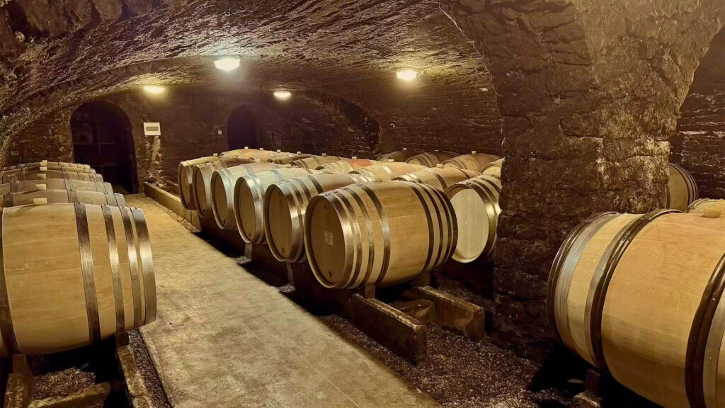 Domaine-Chapelle-Fils-Santenay-Weinkeller-Ritschard-Weine-Shop-Magazin-Blog-Barrique-Vinifikation-Burgund