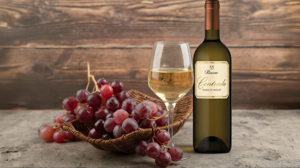 bianco di merlot rote trauben weisswein