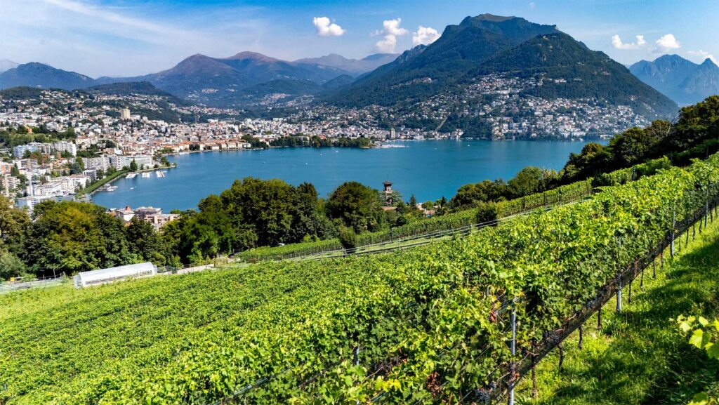 rebberge-am-luganer-see-tessin-bianco-di-merlot
