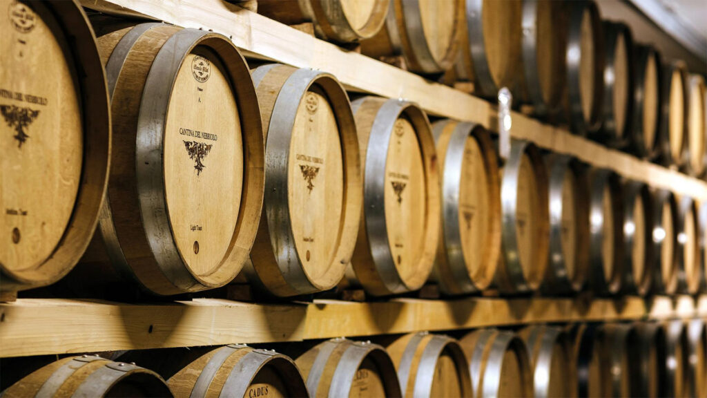 Cantina-Nebbiolo-Region-Piemont-Barriquekeller
