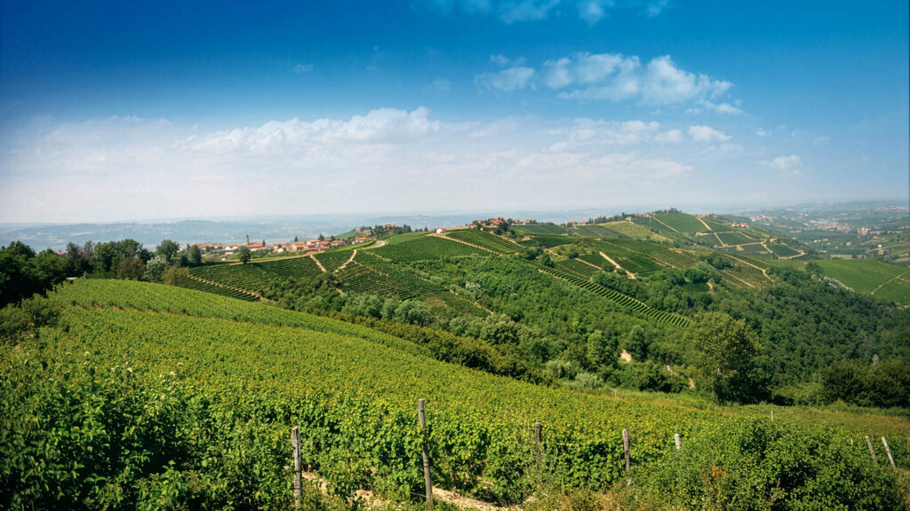 Cantina-Nebbiolo-Region-Piemont-Weinberge-Dorfansicht