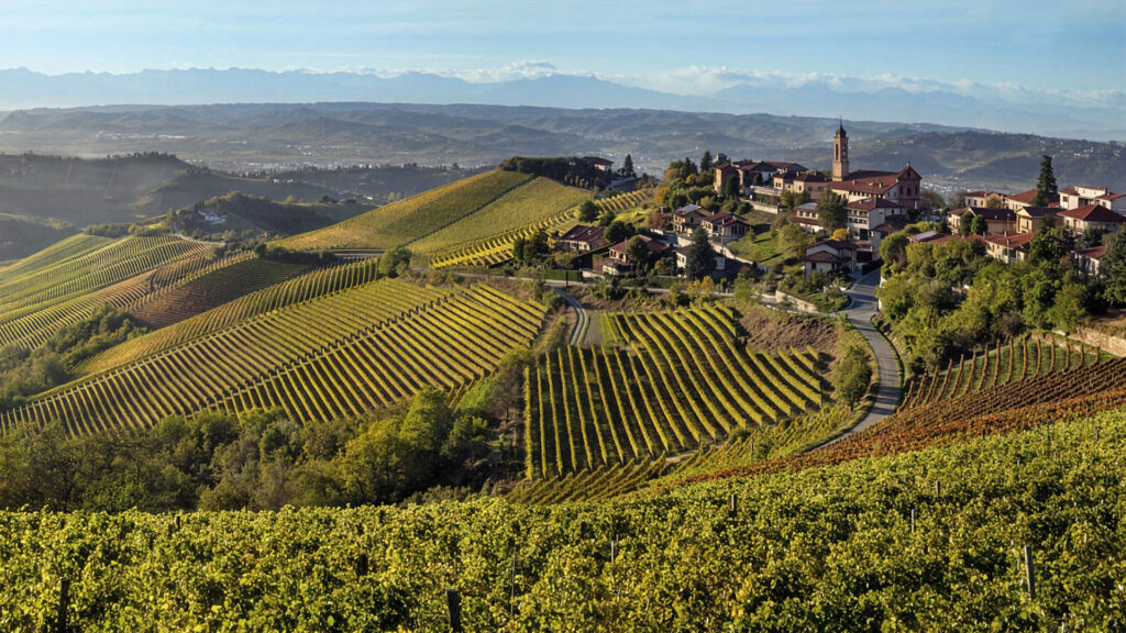 Cantina-Nebbiolo-Region-Piemont-Weinberge-Meruzzano-Dorfansicht