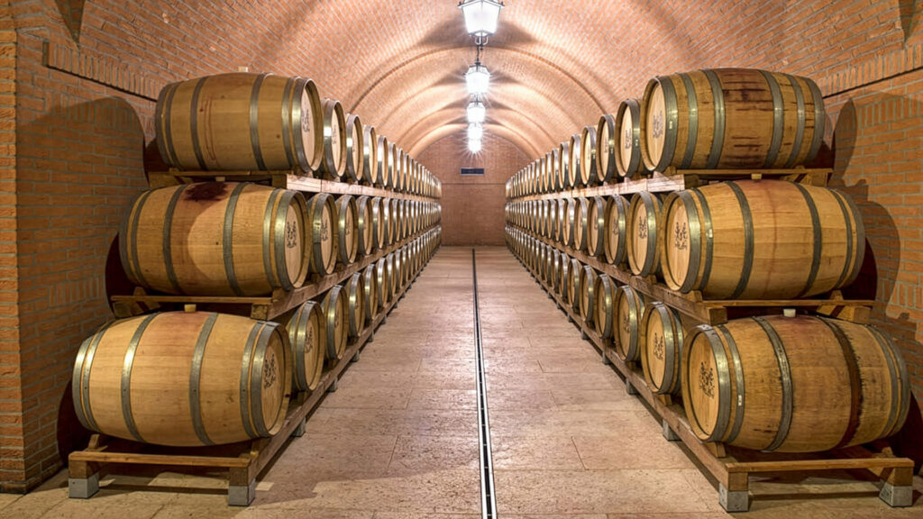Casa-Vinicola-Bennati-Weingut-Barriquefässer-Weinkeller
