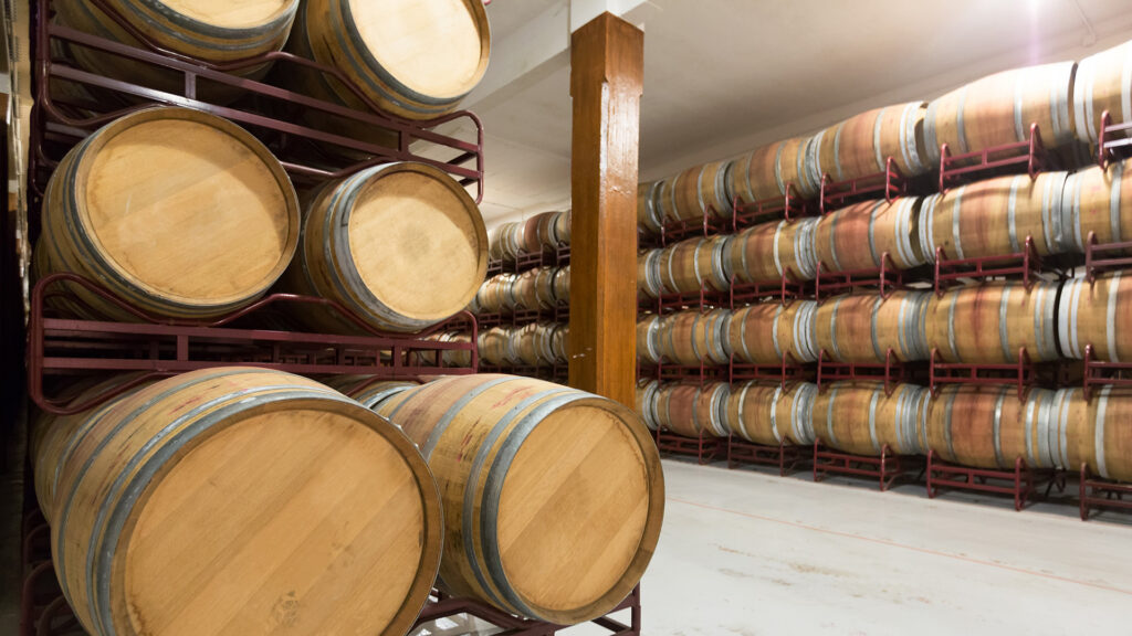 SCAV Alliance Minervois-Vinifikation