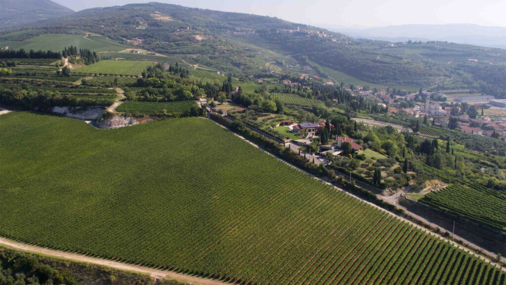 Tommasi-Viticoltori-Weinberge-Valpolicella-Weingut