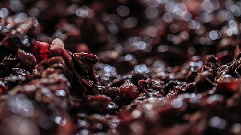 Tommasi-Viticoltori-Weingut-Apassimento-Rotwein