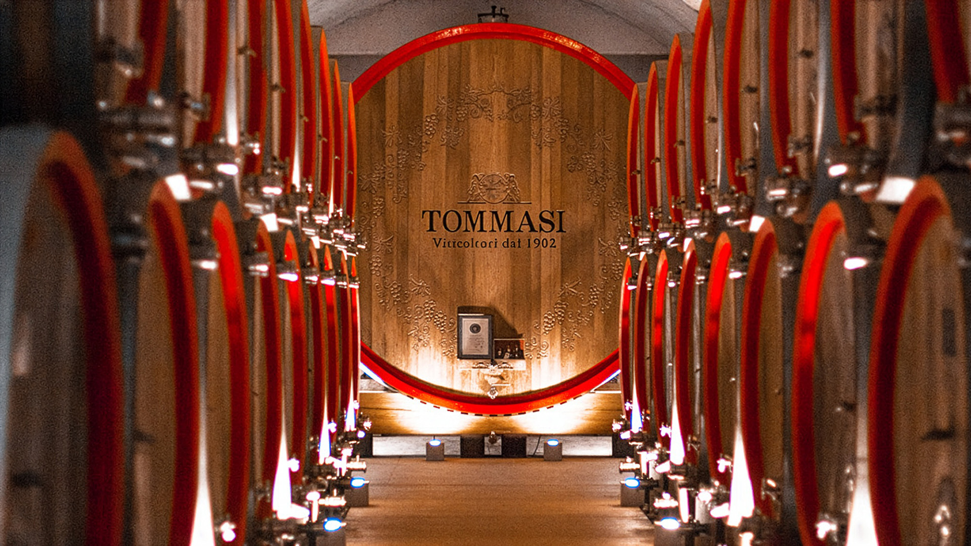 Tommasi-Viticoltori-Weingut