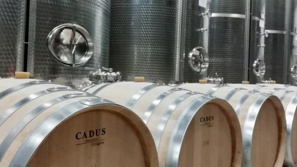 Vinicola-Caccaro-Prosecco-Venetien-Schaumwein-Spumante-Weinkeller