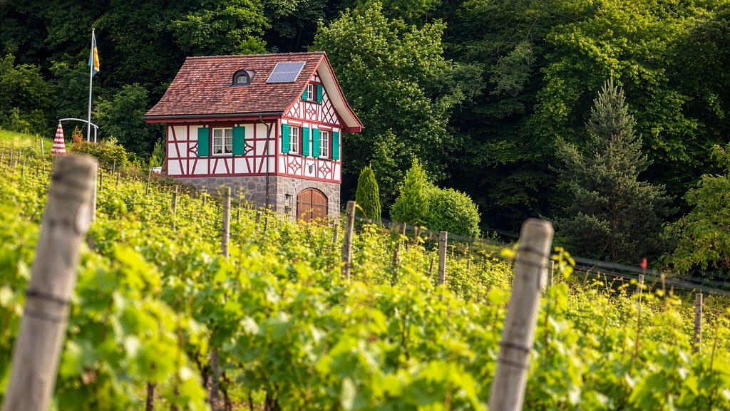 Weinbauregion-Thurgau-Region-Lauchetal-vom Südhang des Immenbergs in Märwil bis nach Matzingen