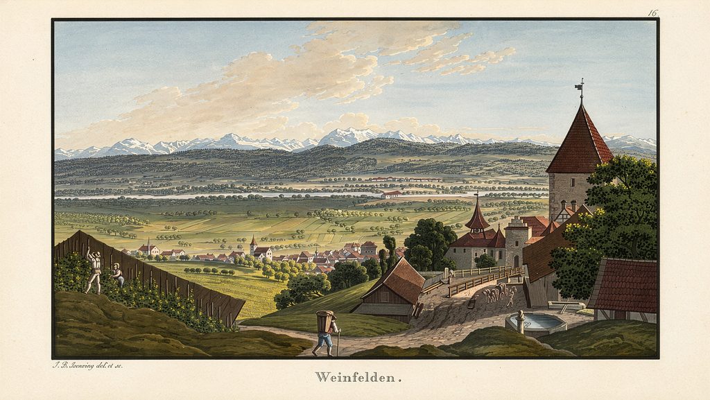 Weinbauregion-Thurgau-Region-Weinbaugebiete-Geschichte